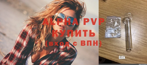 стафф Грязовец